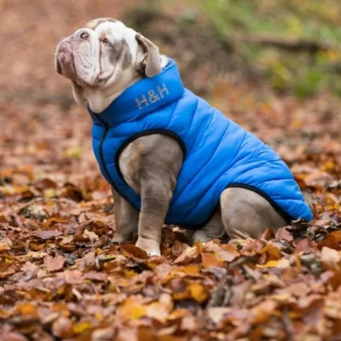 Hugo & Hudson - Reversible Puffer Jacket - Blue/Navy